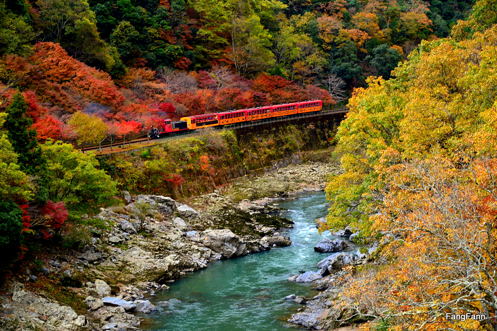 摄影家手札DGPhoto - 秋之岚山小火车\/艺廊