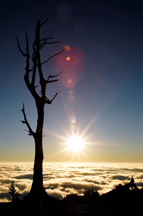 但为时已晚~~  心裏带著惋惜陪它到夕阳西下,但最重要的一点是