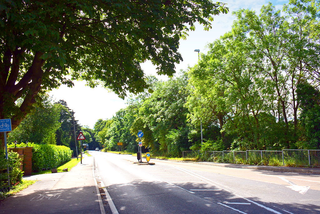 向左行的英国马路