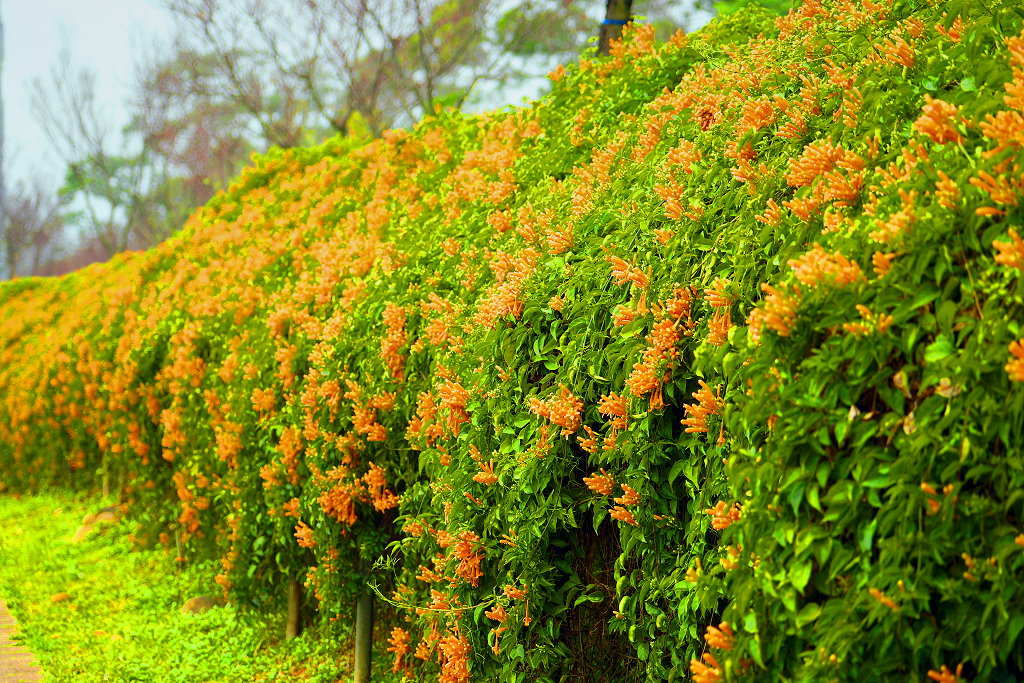 摄影家手札dgphoto - 铜锣鞭炮花瀑/艺廊