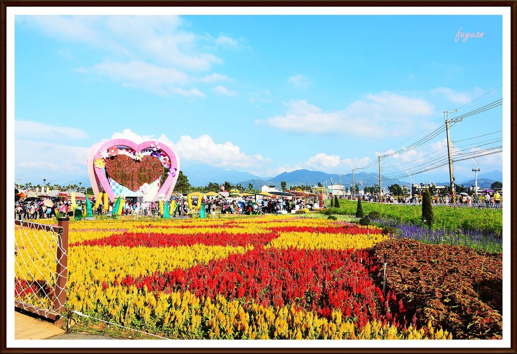 新社花海~爱的抱抱