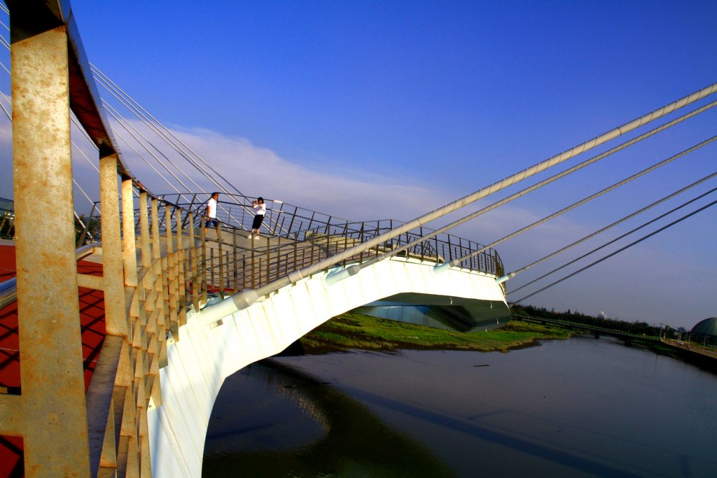 高美湿地观景桥