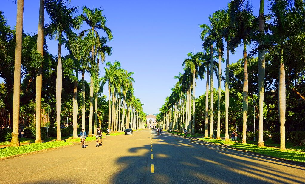 椰林大道