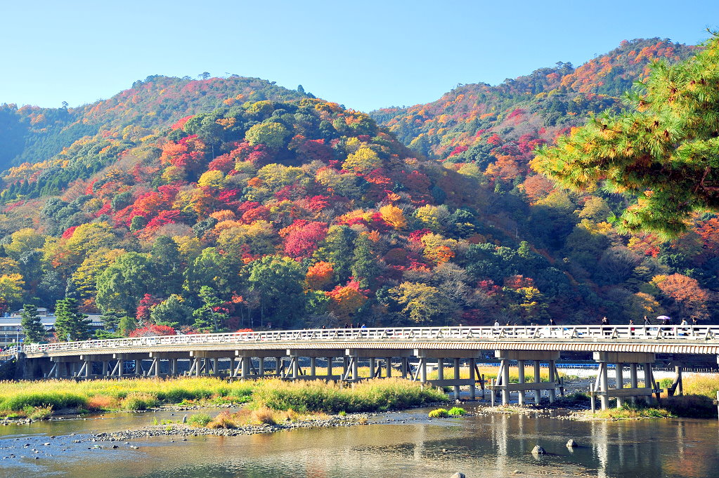 秋山枫红